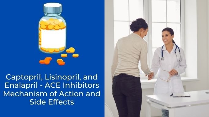 Captopril Lisinopril and Enalapril - ACE Inhibitors Mechanism of Action and Side Effects